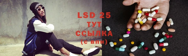 PSILOCYBIN Армянск