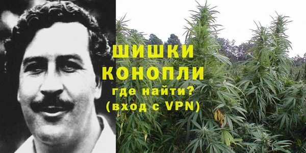 амф Аркадак