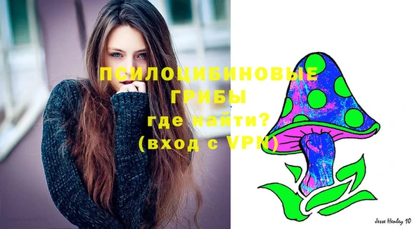 PSILOCYBIN Армянск