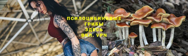 амф Аркадак